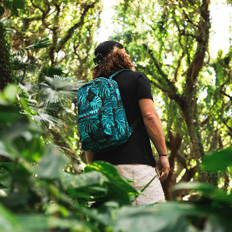Revelry Supply Collection - Monstera